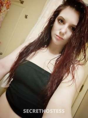 Lilly 26Yrs Old Escort Tampa FL Image - 1