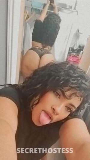 Lisi 25Yrs Old Escort Houma LA Image - 1