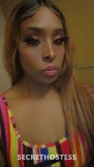 Lolita 25Yrs Old Escort Corpus Christi TX Image - 2