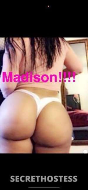 Madison 32Yrs Old Escort 170CM Tall Springfield MA Image - 1