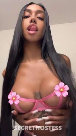 PAOLA 25Yrs Old Escort Detroit MI Image - 0