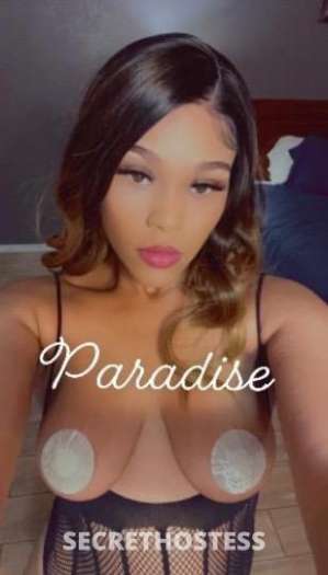 Paradise 24Yrs Old Escort Fort Worth TX Image - 0