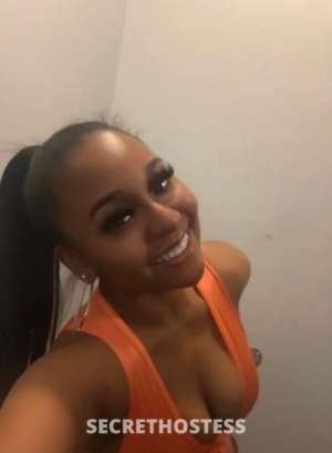 Phoenix 24Yrs Old Escort Santa Barbara CA Image - 0