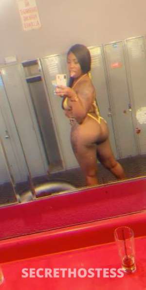 27 year old Escort in Albuquerque NM Pretty Brown Rose- your favorite playmate