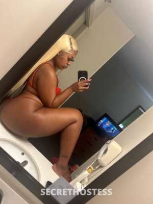 RoyalTee 23Yrs Old Escort Phoenix AZ Image - 0