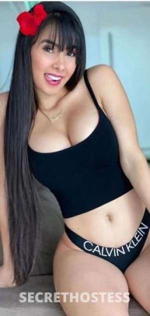 Sofia 24Yrs Old Escort Chicago IL Image - 0