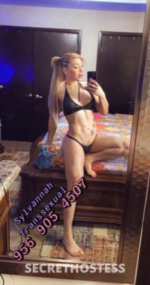 Sylvannah 24Yrs Old Escort McAllen TX Image - 2