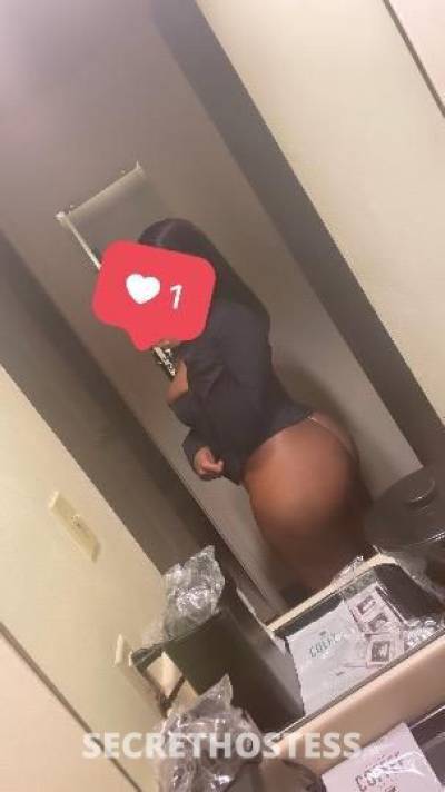 TRINI 25Yrs Old Escort Westchester NY Image - 2