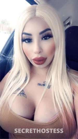 23 Year Old Colombian Escort San Antonio TX - Image 2