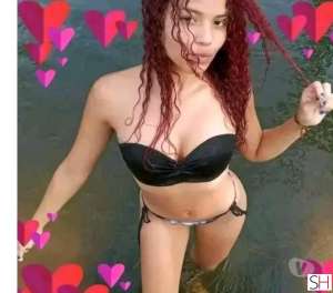 19 Year Old White Escort Goiana - Image 1