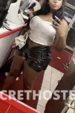 21Yrs Old Escort Tampa FL Image - 2