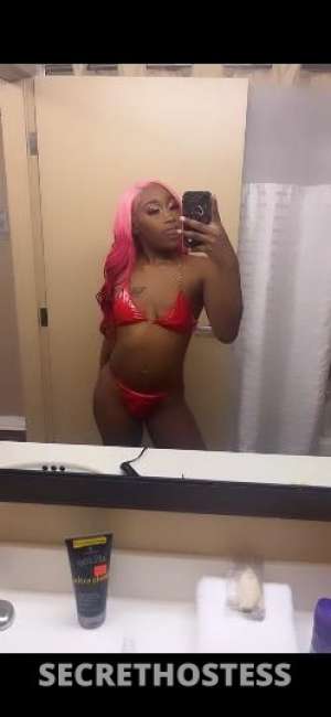 22Yrs Old Escort Ann Arbor MI Image - 0