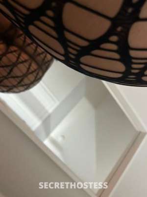 22Yrs Old Escort Tampa FL Image - 2