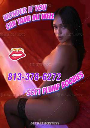 23Yrs Old Escort San Jose CA Image - 5