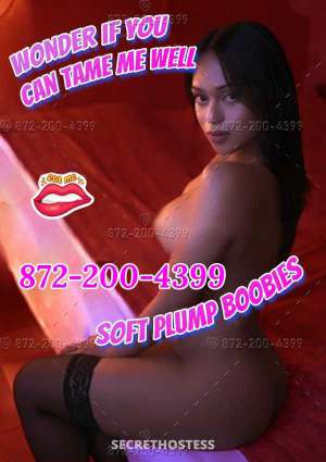 23Yrs Old Escort Westchester FL Image - 5