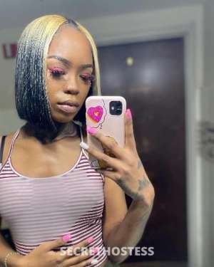 23 year old New Zealander Escort in Atlanta GA Incalls only