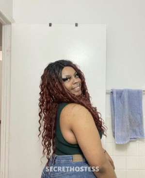 24 year old Escort in Madison WI I’m available 24/7 for fun and service at best price