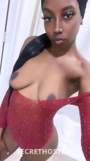 24Yrs Old Escort New Orleans LA Image - 1