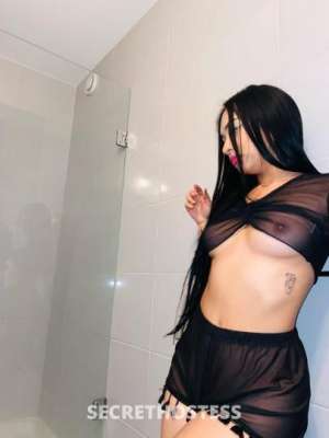 24Yrs Old Escort Dallas TX Image - 2