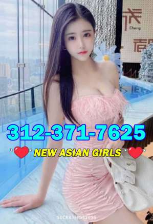 25 Year Old Asian Escort Chicago IL - Image 5