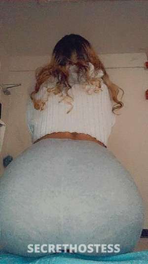 25Yrs Old Escort Brooklyn NY Image - 0