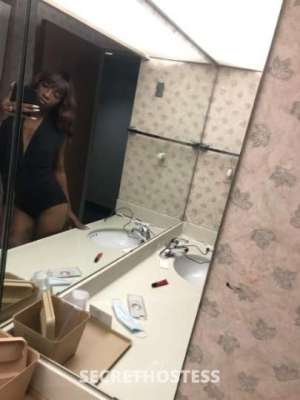 25Yrs Old Escort Dallas TX Image - 1