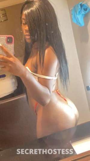 25Yrs Old Escort Houston TX Image - 3