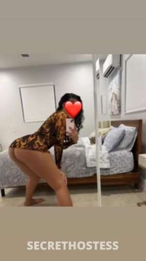 25Yrs Old Escort Tampa FL Image - 1