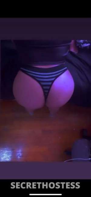 27Yrs Old Escort Bronx NY Image - 2