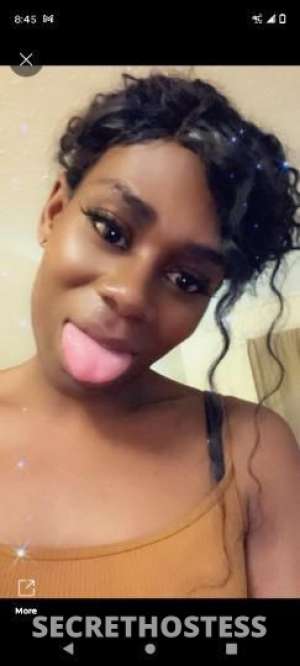 33 year old Escort in Louisville KY 33Yrs Old Escort Louisville KY