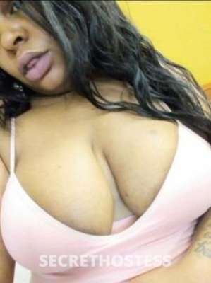 35Yrs Old Escort Washington DC Image - 1