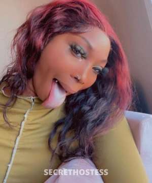 Angel 25Yrs Old Escort Little Rock AR Image - 1