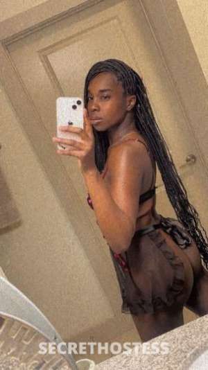 Drea 26Yrs Old Escort Dallas TX Image - 1