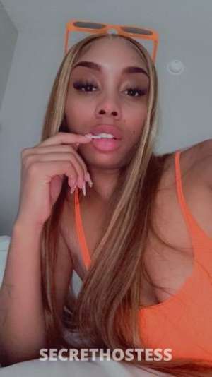 Lili 25Yrs Old Escort West Palm Beach FL Image - 0