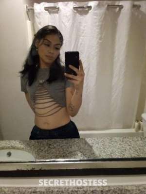 Lilly 21Yrs Old Escort Minneapolis MN Image - 0