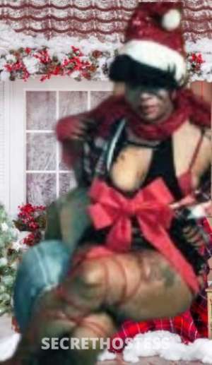 MercedesInfinityBenz 27Yrs Old Escort Springfield IL Image - 1