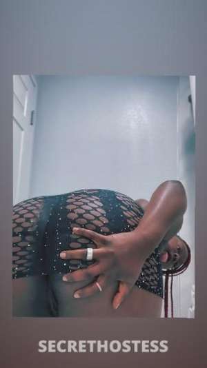 Miami 22Yrs Old Escort Dallas TX Image - 2