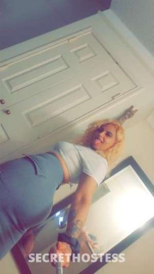 Moneyymarie 27Yrs Old Escort Daytona FL Image - 2