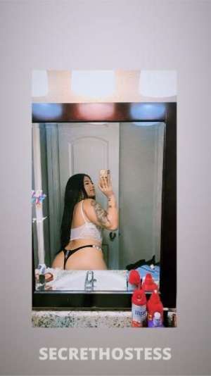 Nashville 23Yrs Old Escort Nashville TN Image - 1