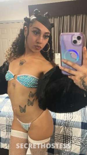 Exotic Puerto Rican Girl INCALL &amp; OUTCALL in Los Angeles CA