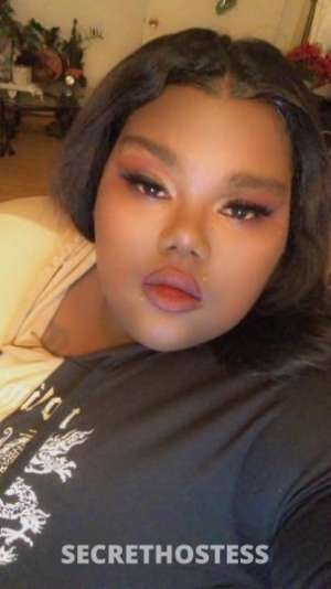 29 year old Escort in San Mateo CA come get treated like a king