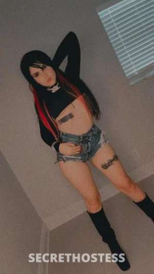 Paola 25Yrs Old Escort Fort Worth TX Image - 1