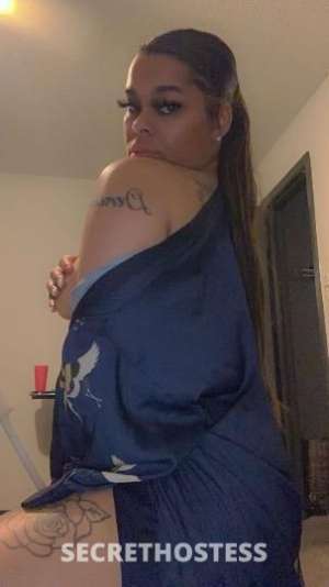 SnappingTurtle 27Yrs Old Escort Dallas TX Image - 0