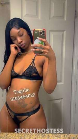 Tequila 23Yrs Old Escort San Fernando Valley CA Image - 1