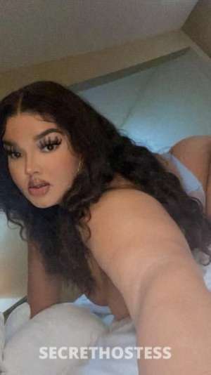 Vanilla 24Yrs Old Escort Dallas TX Image - 1