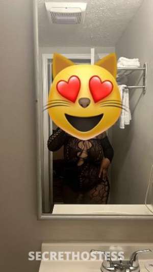 20 year old Greek Escort in Rochester NY cotton candy slip and slide