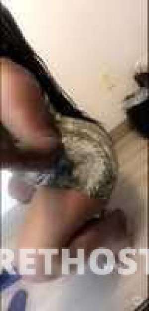 23Yrs Old Escort Flint MI Image - 5