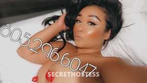 24Yrs Old Escort San Jose CA Image - 2