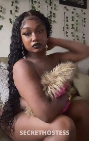 26Yrs Old Escort Shreveport LA Image - 3