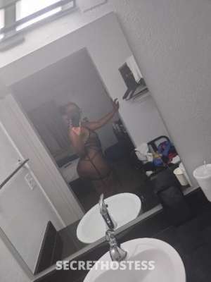 46Yrs Old Escort 177CM Tall Tampa FL Image - 2